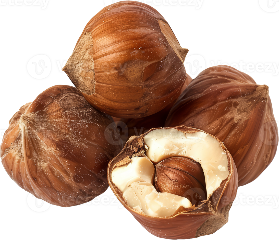 Pile of whole hazelnuts, cut out transparent png
