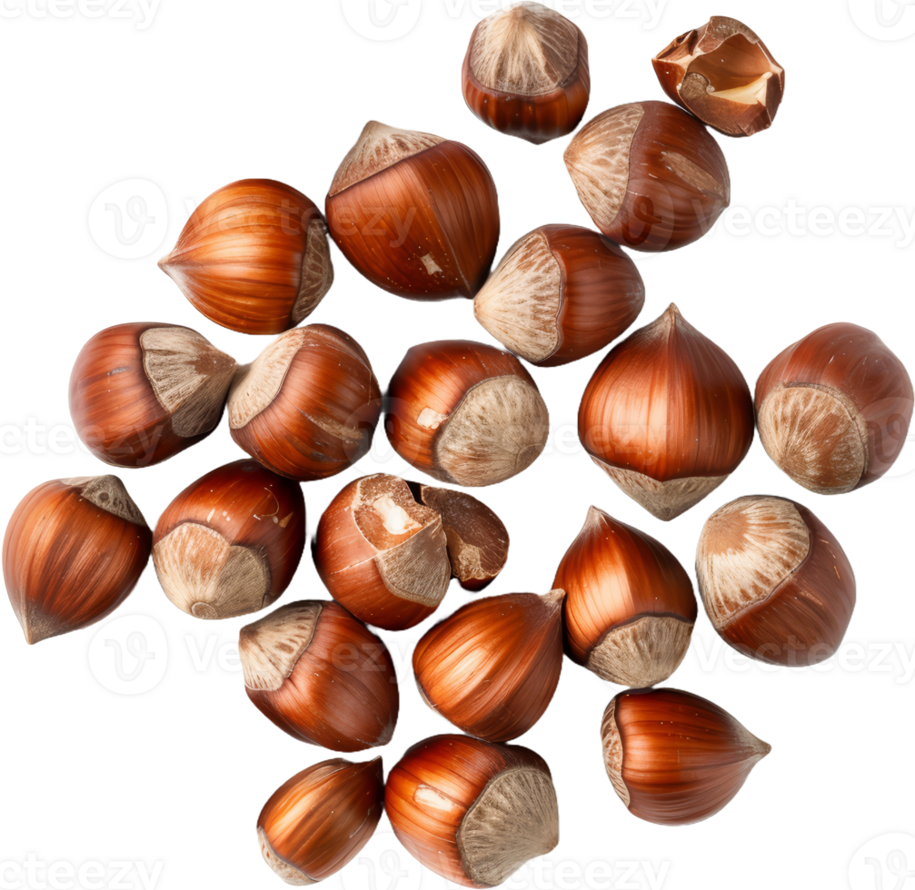 Pile of whole hazelnuts, cut out transparent png
