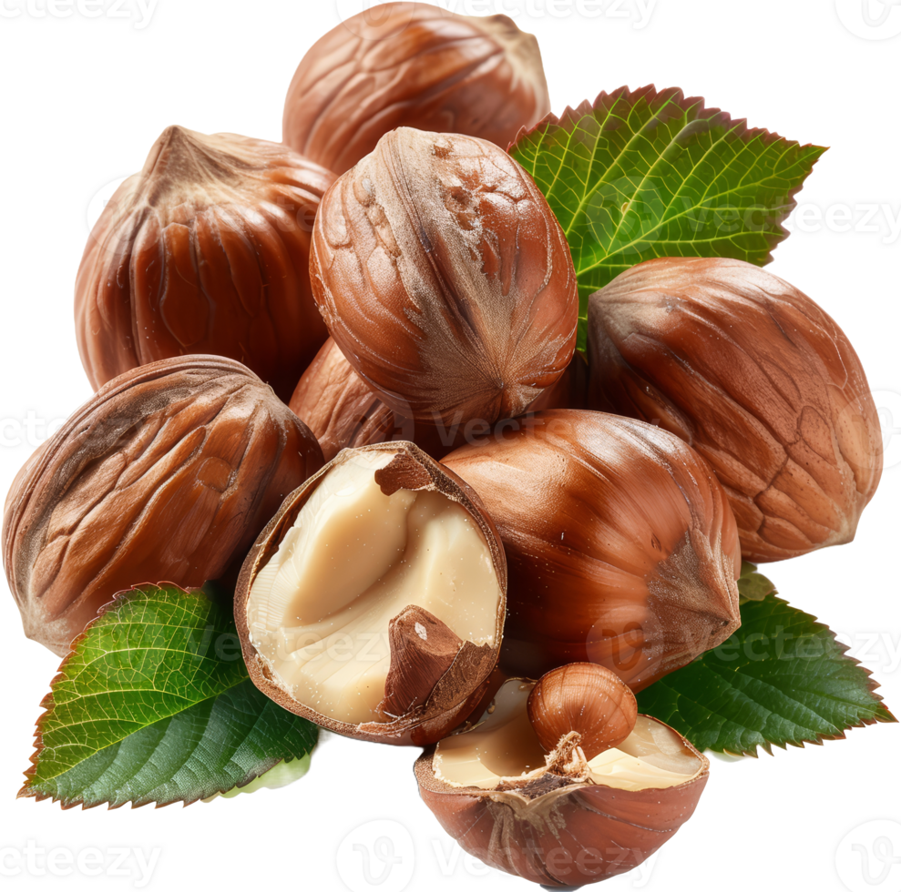 Pile of whole hazelnuts, cut out transparent png
