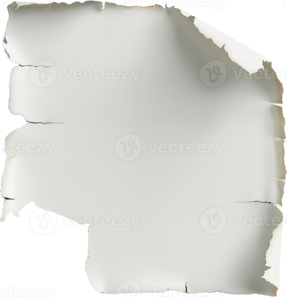 Crumpled white paper sheet, cut out transparent png