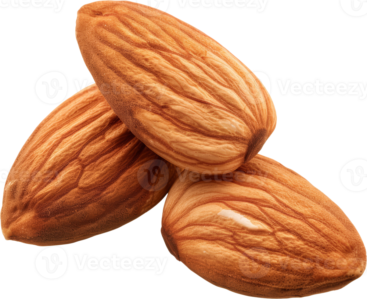 Close-up of almonds, cut out transparent png