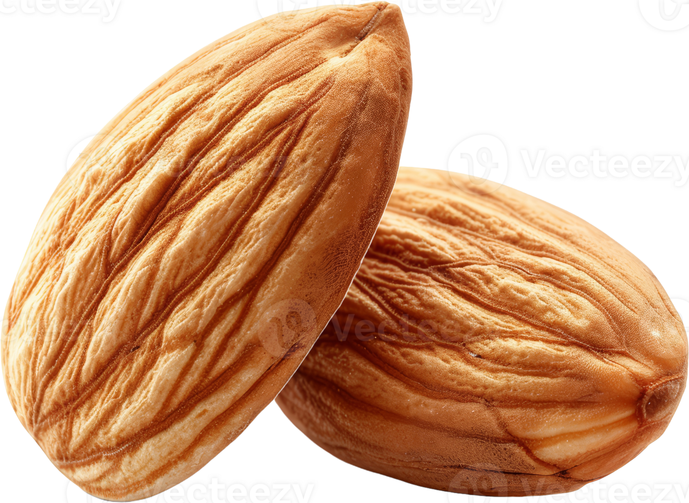 Close-up of almonds, cut out transparent png