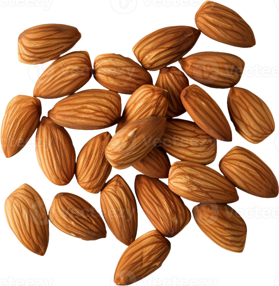 Close-up of almonds, cut out transparent png