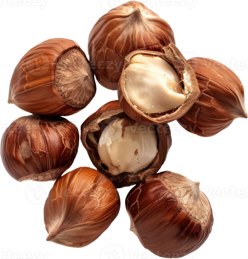 Pile of whole hazelnuts, cut out transparent png