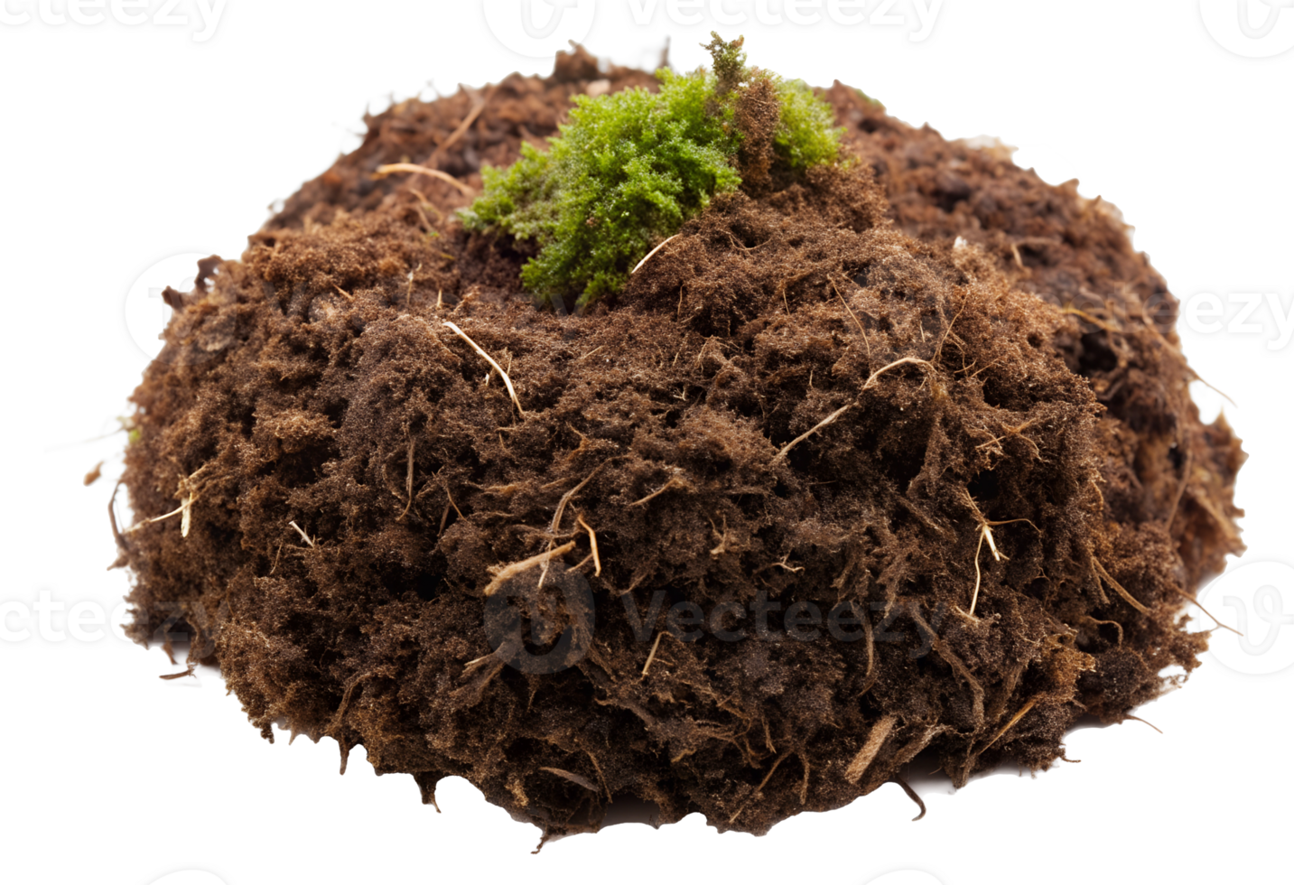 PNG clump of soil with small green plant on white transparent 49514537 PNG PNG clump of soil with small green plant on white transparent 49514537 PNG