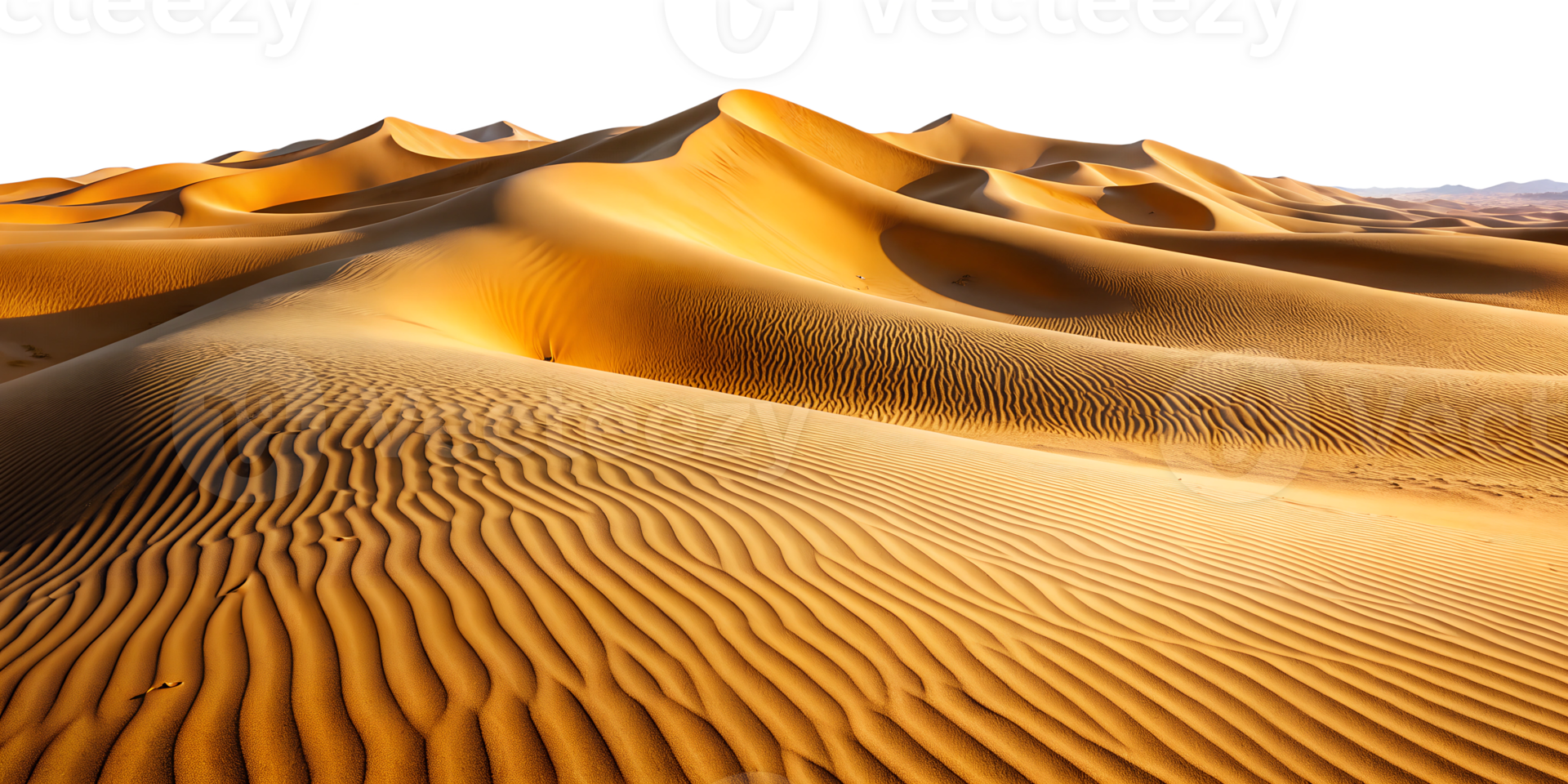 Waves of golden sand dunes under bright sunlight in a vast desert, cut out transparent png