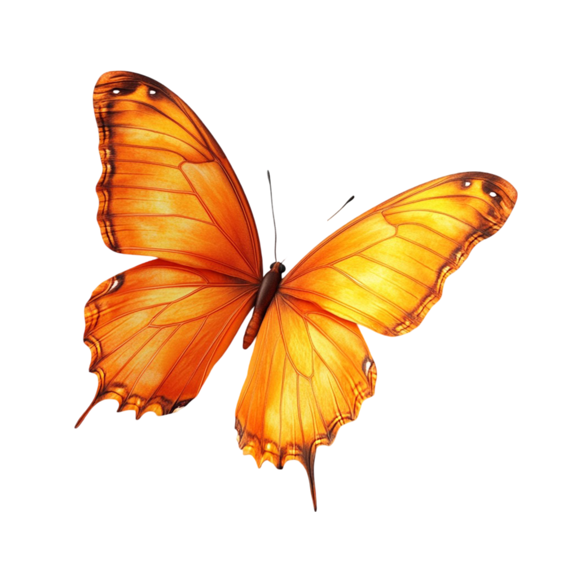 Bright Orange Butterfly AI Generative 49515806 PNG Bright Orange Butterfly Ai Generative Free Png
