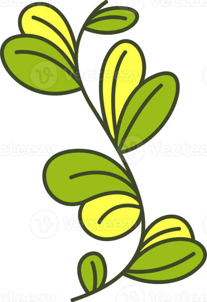 deciduous tree leaves png