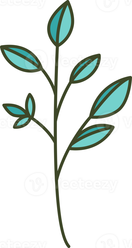 Herbaceous Leaves Branch Illustration png