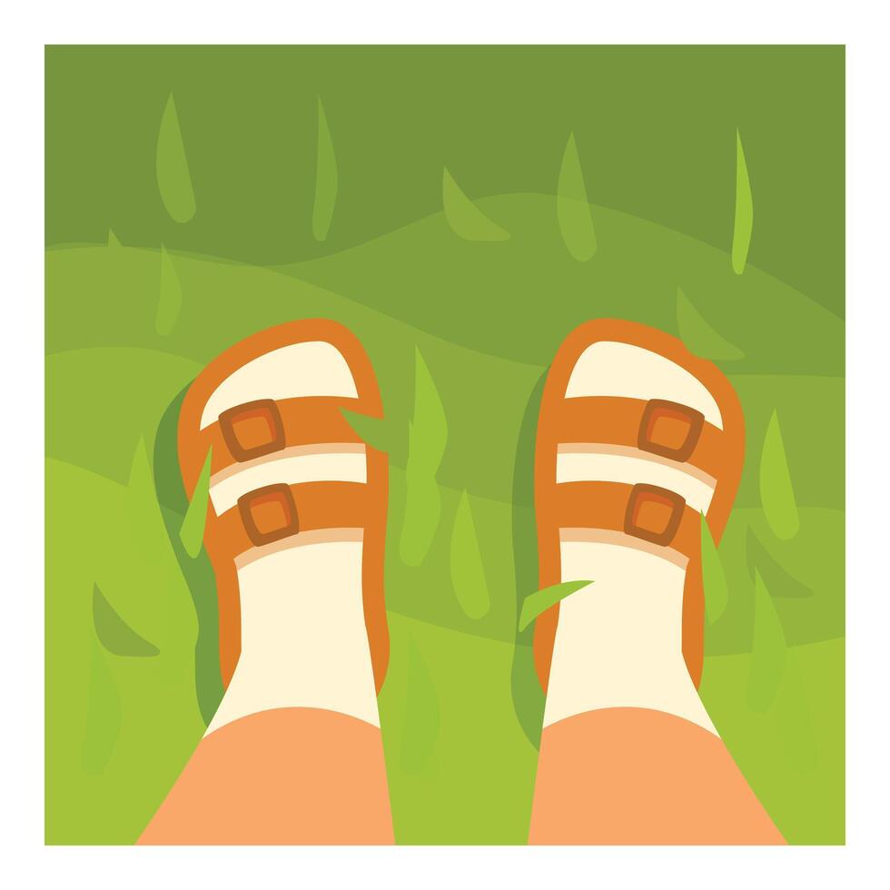 Person wearing sandals standing on green grass point of view vector