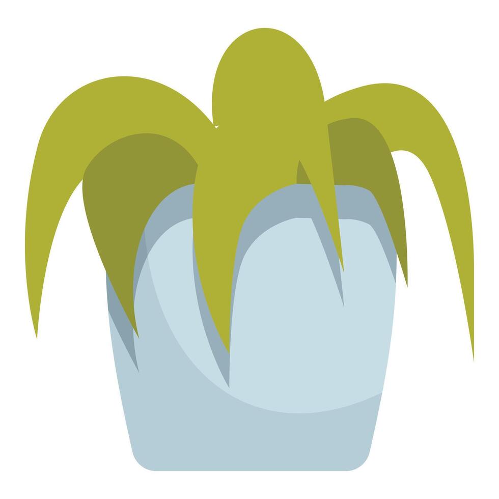 Green chlorophytum growing in blue pot on white background vector