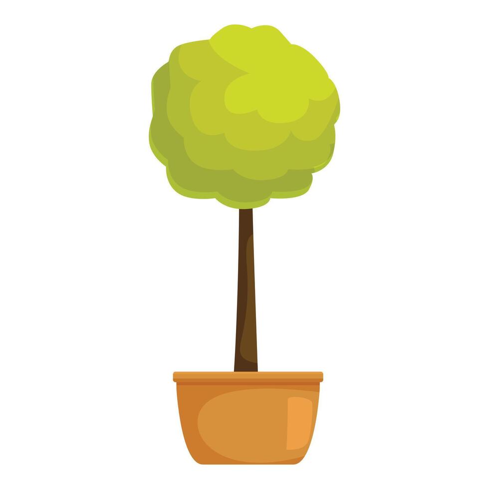 Green round crown tree growing in a pot vector