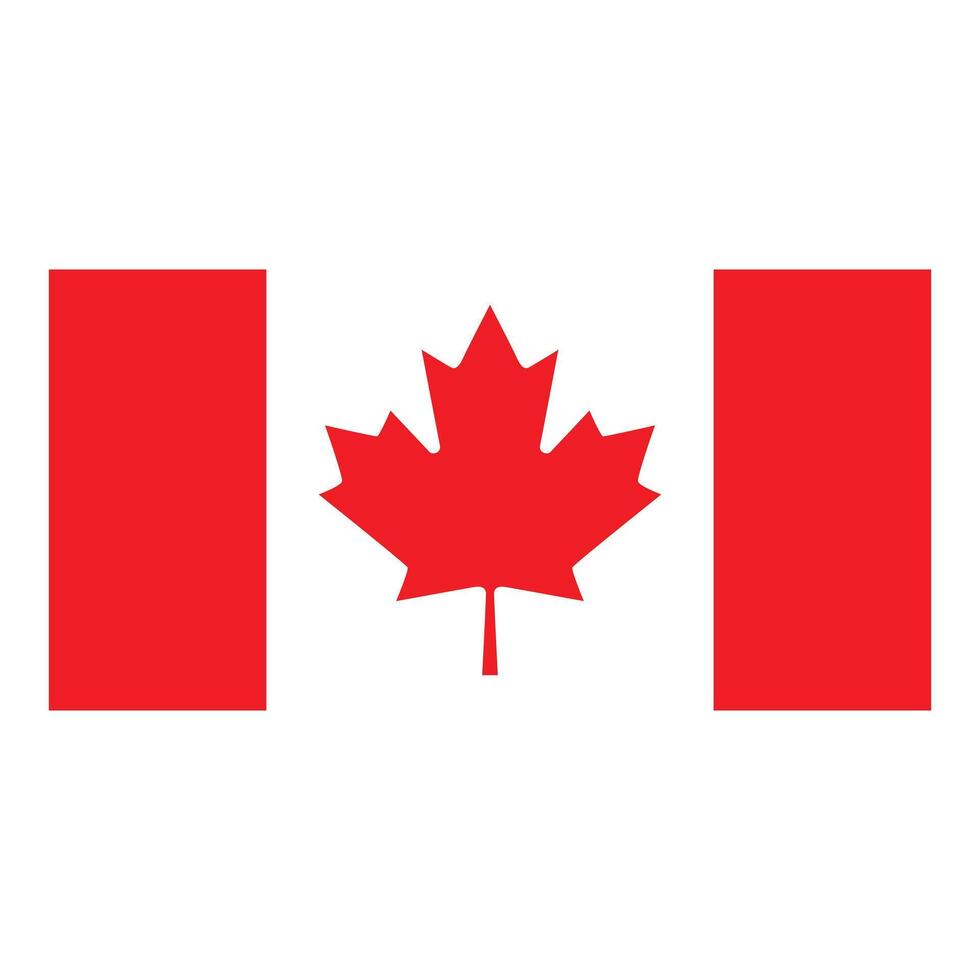 Canadian flag waving proudly in the wind vector