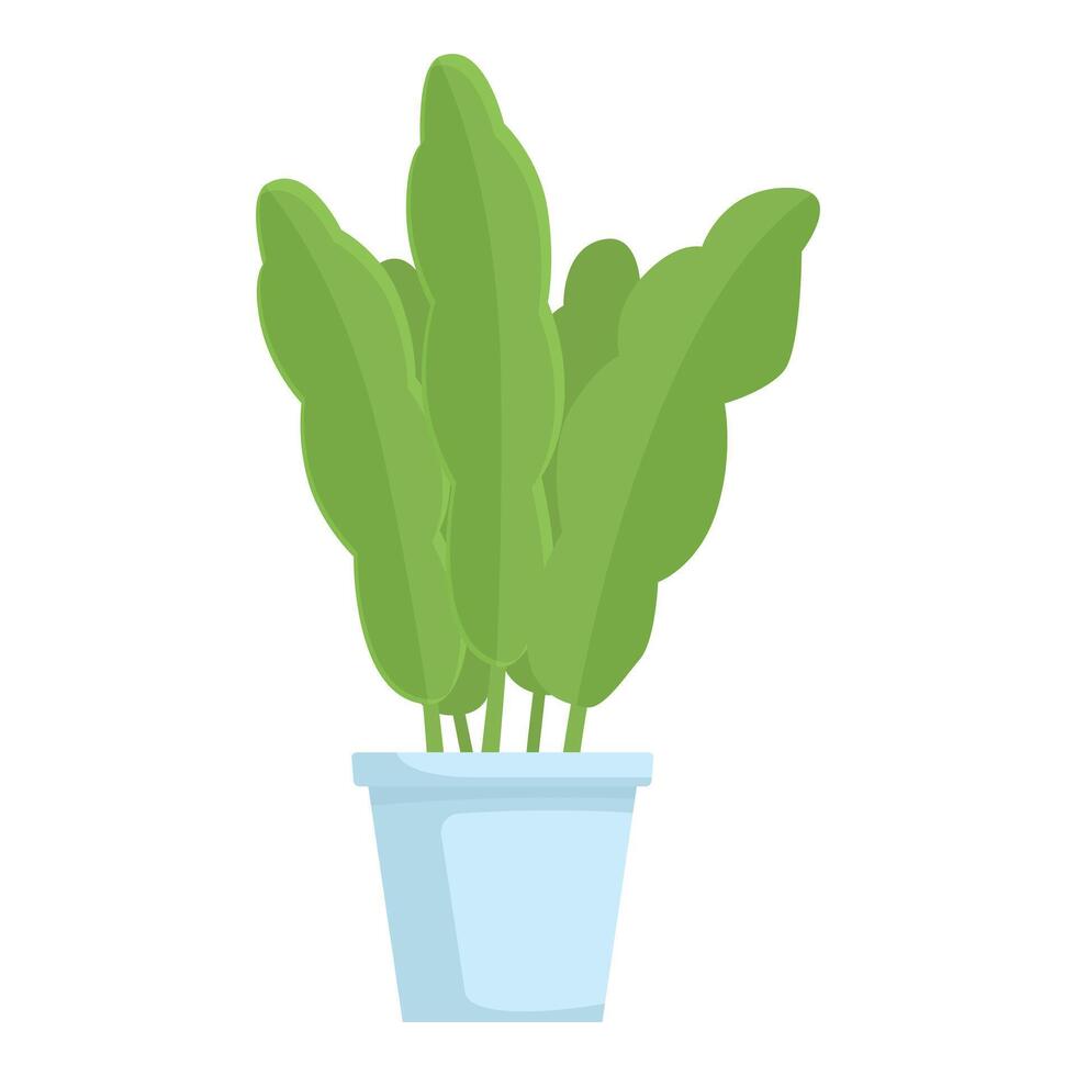 Green houseplant growing in a pot with long leaves vector