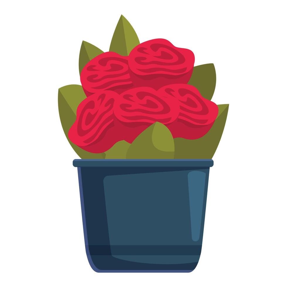 Bouquet of red roses growing in blue pot for valentine's day vector