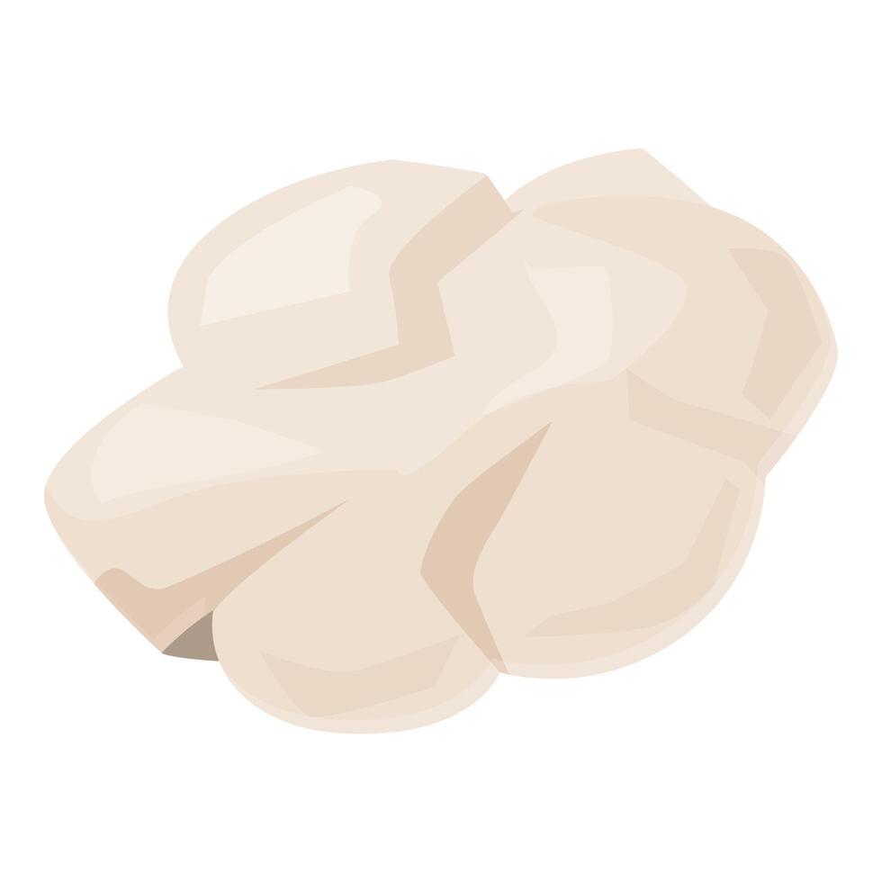 Fresh garlic bulb sitting on white background vector