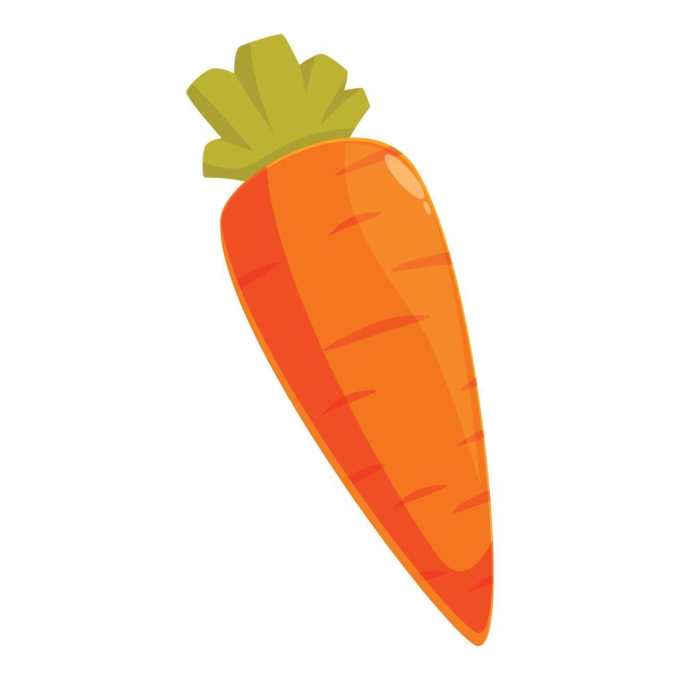 Single fresh cartoon carrot with green top illustration vector