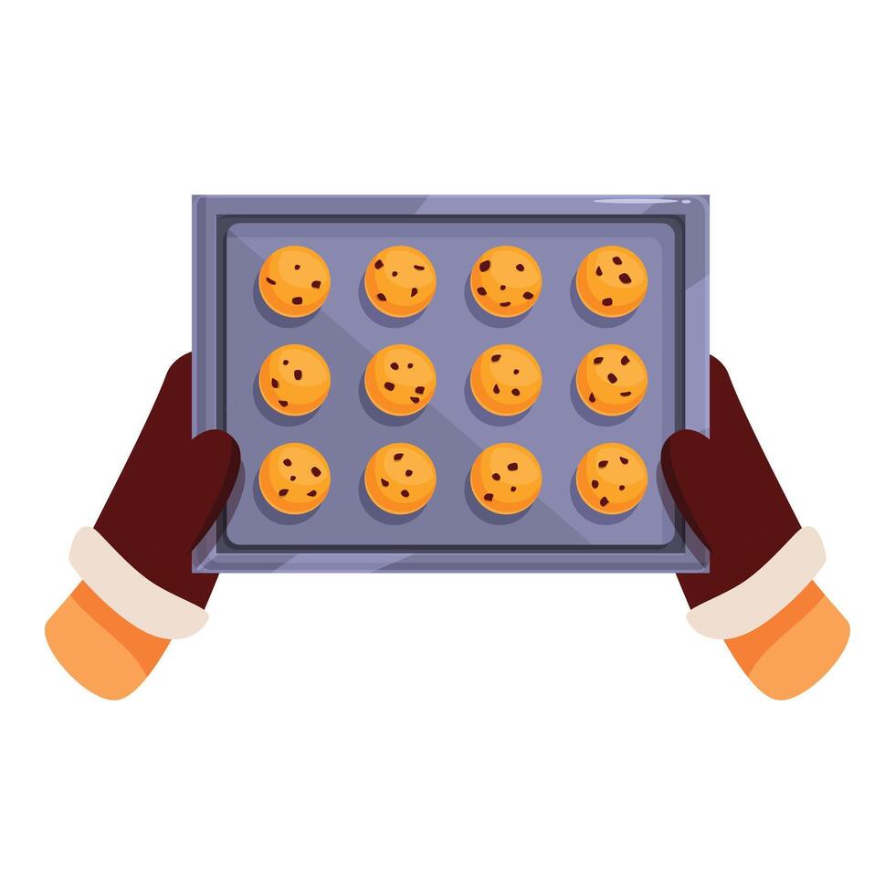 Baker holding baking sheet with freshly baked cookies vector