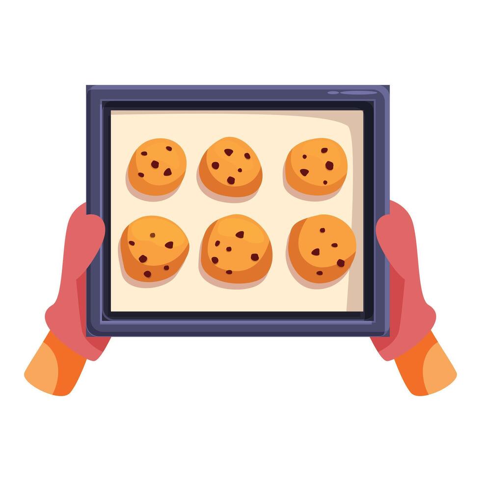 Baker holding baking sheet with freshly baked chocolate chip cookies vector
