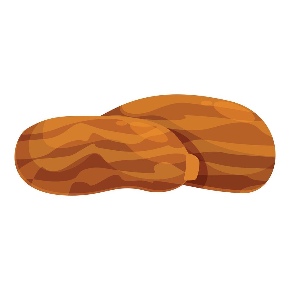 Two dried dates fruit presenting delicious sweet snack vector