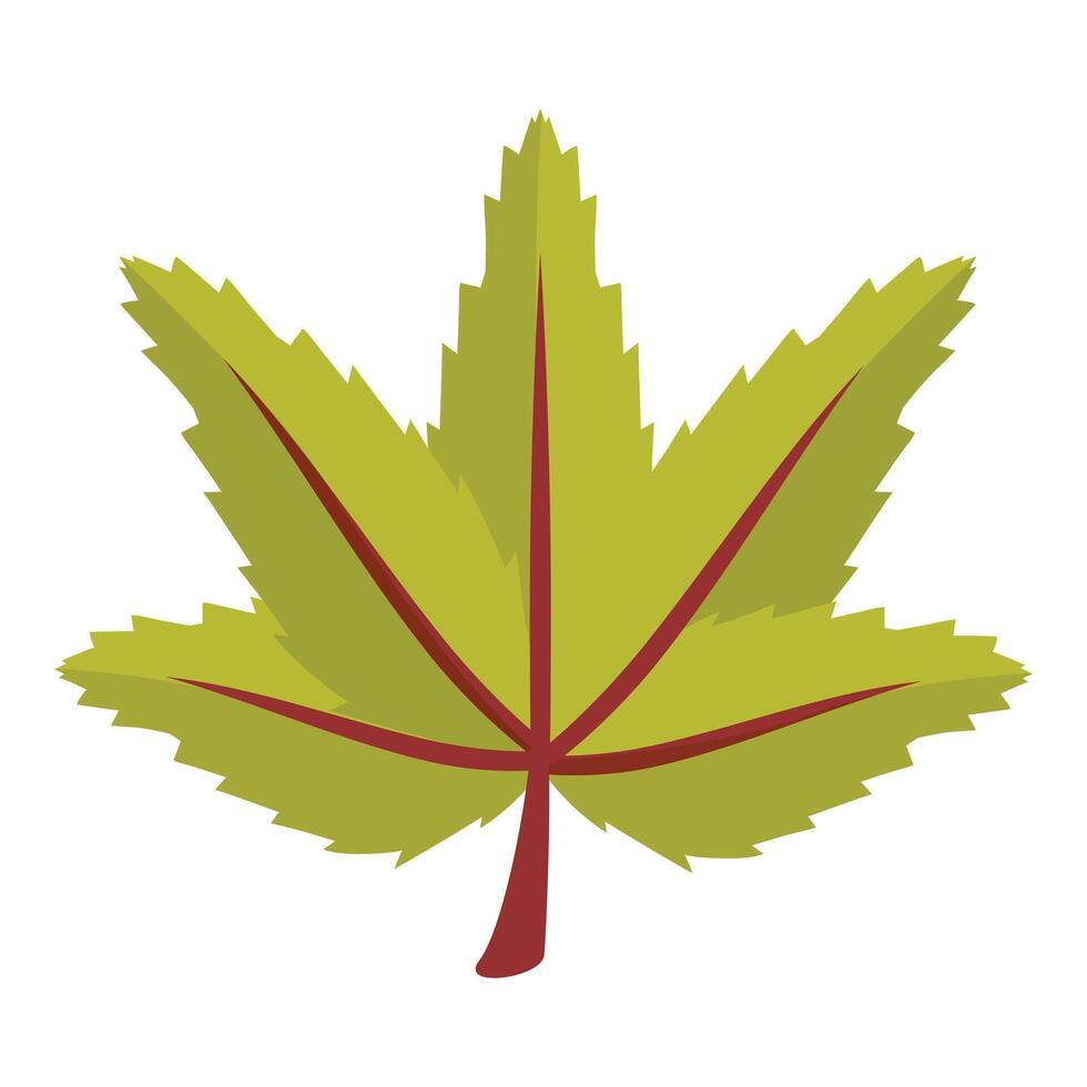 Green japanese maple leaf showing autumn colors vector