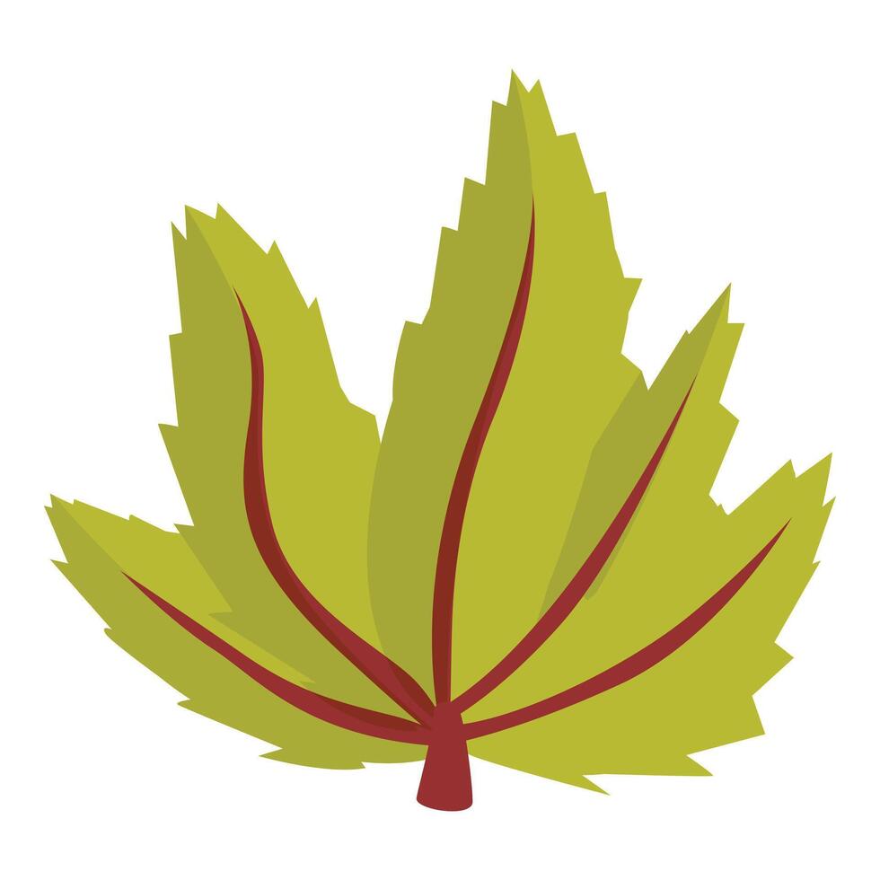 Green tropical leaf with red veins growing on white background vector