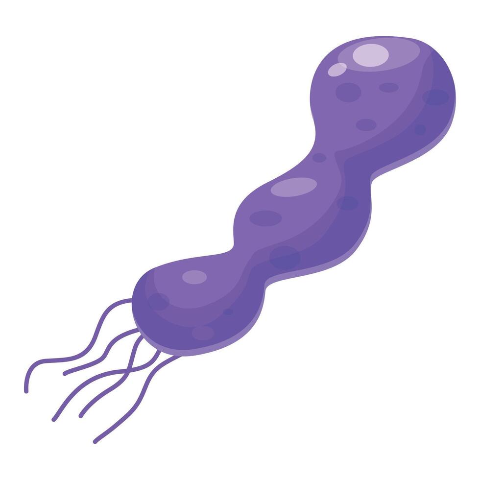 Purple bacteria microorganism floating with flagella vector