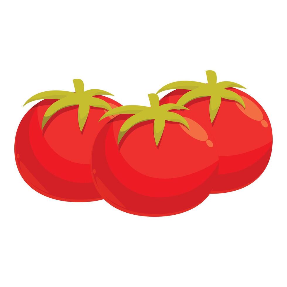 Three ripe red tomatoes lying together vector