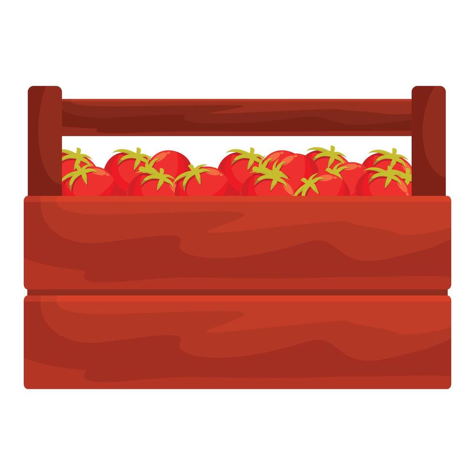 Wooden crate overflowing with fresh red tomatoes vector