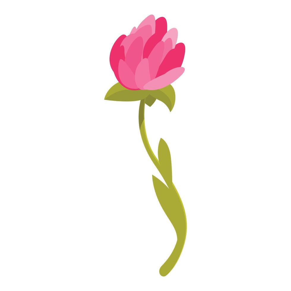 Pink flower with green stem blooming elegantly on white background vector