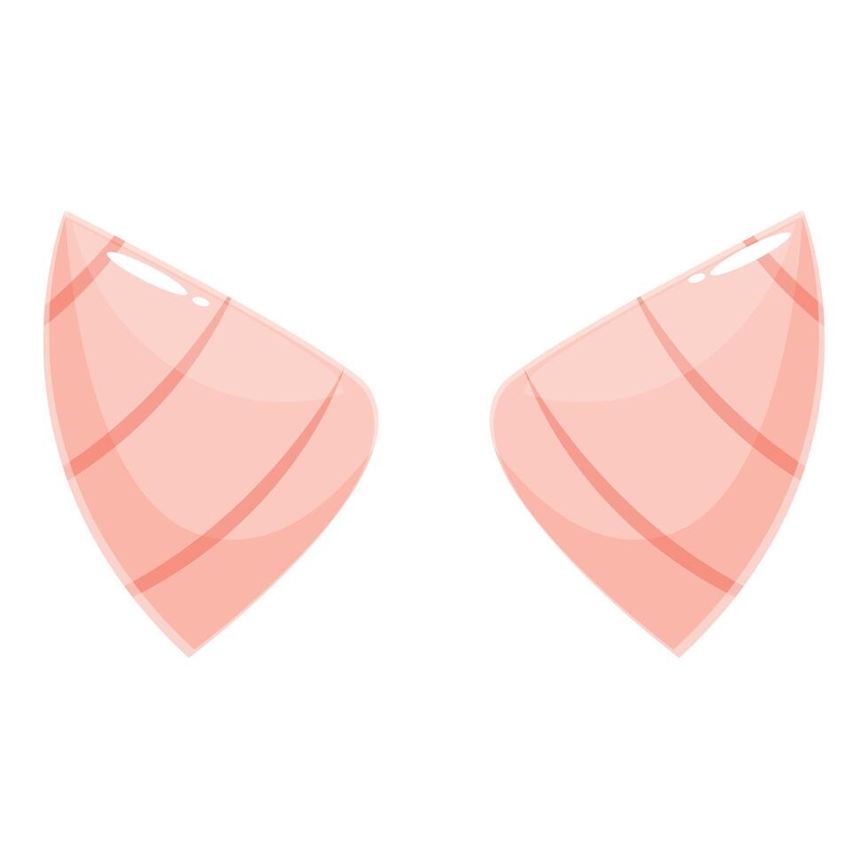 Two pieces of nigiri sushi with salmon showing salmon texture vector