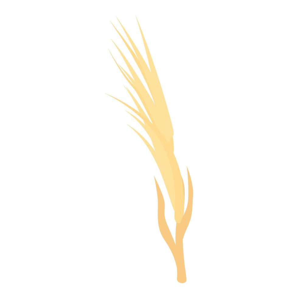 Single wheat branch standing upwards with grains growing vector