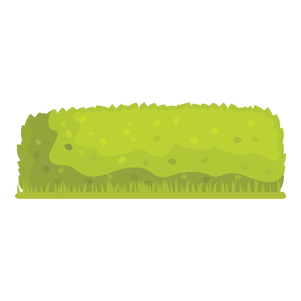 Green bush growing in summer representing nature and ecology vector