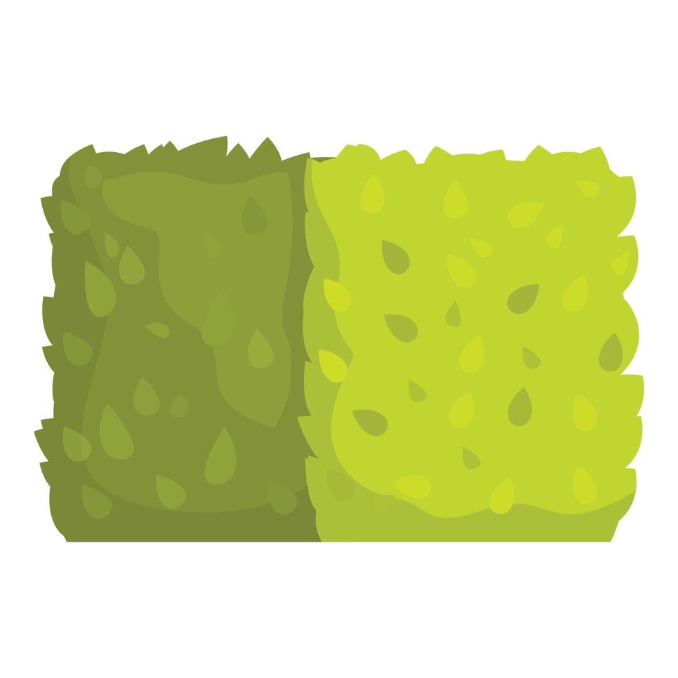 Green bush growing creating natural wall for garden design element vector
