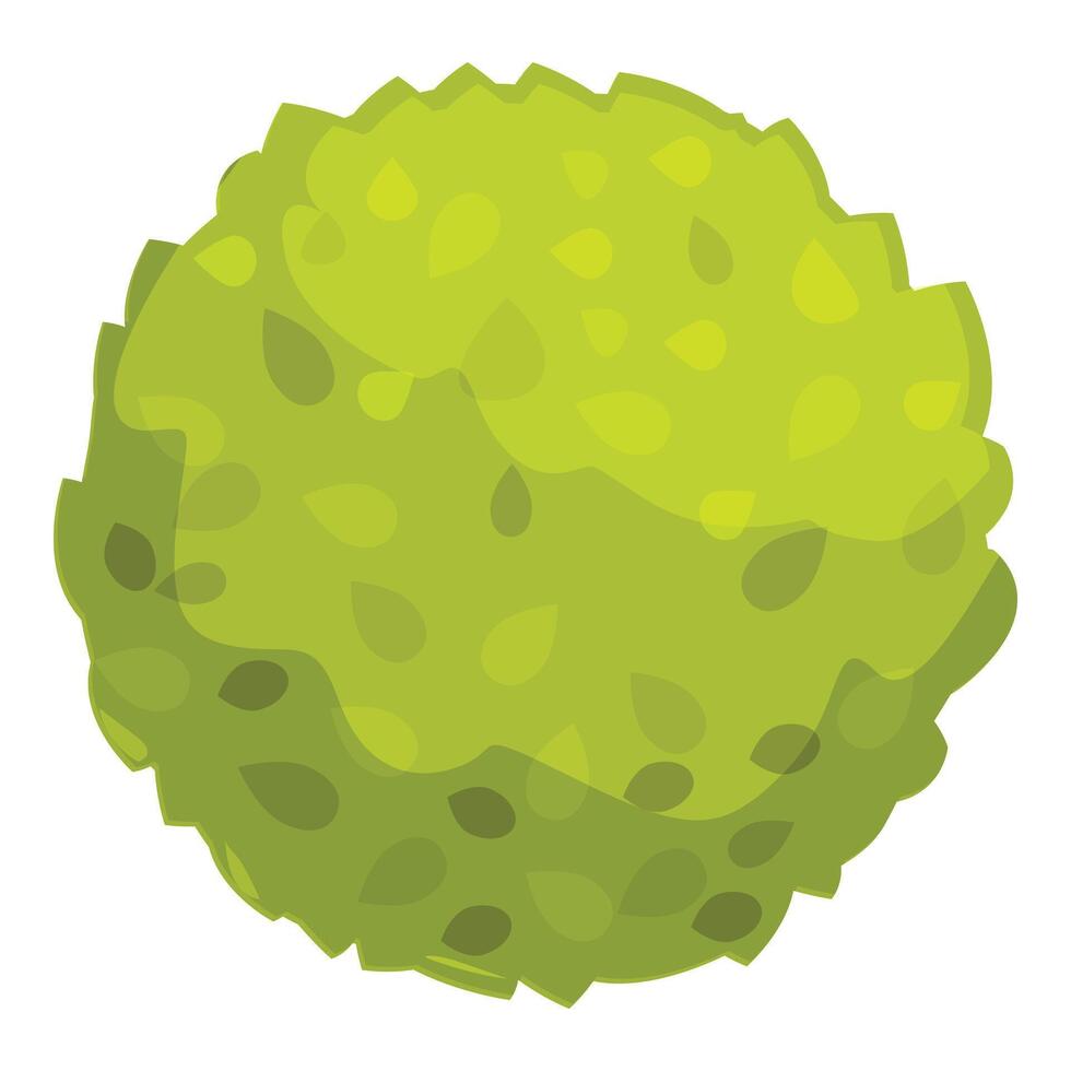 Spherical green bush growing with lush foliage vector