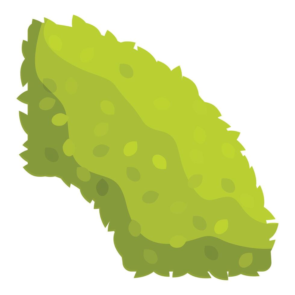 Green bush growing with leaves forming a triangle shape vector