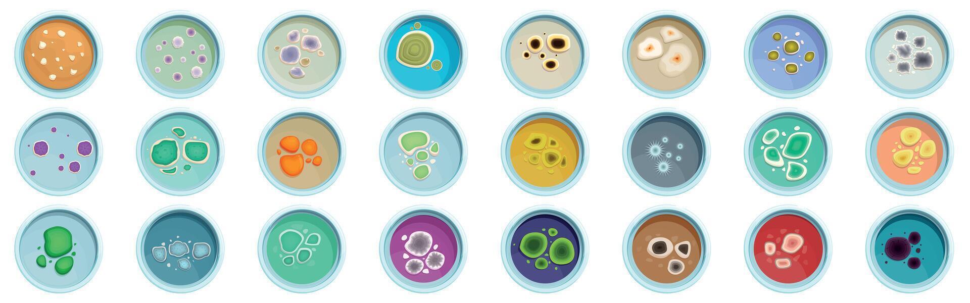 Mold fungus colonies icons set. Petri dishes with colonies of microorganisms growing in them vector