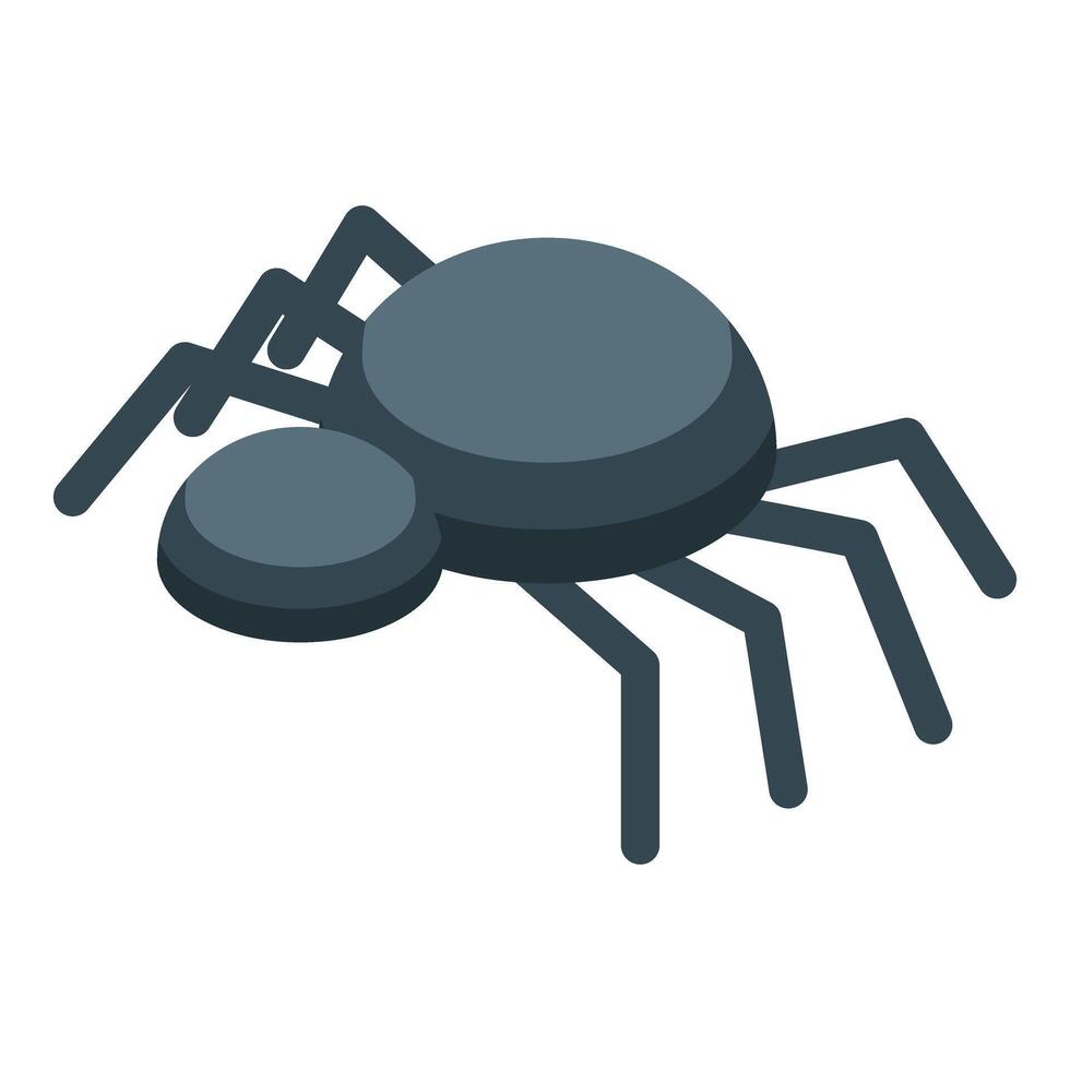 Black widow spider crawling isometric view vector