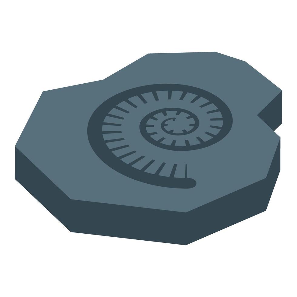 Ammonite fossil showing spiral shell on stone vector