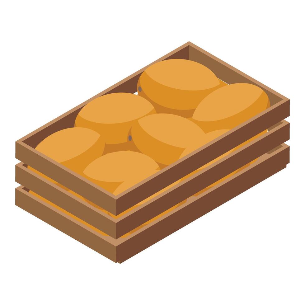 Wooden crate full of mangoes being transported from farm vector