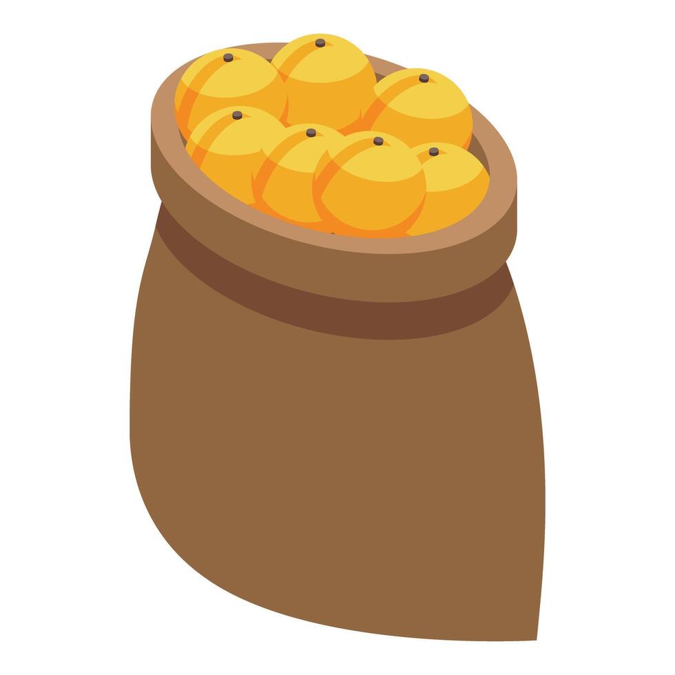 Full burlap sack overflowing with fresh oranges vector