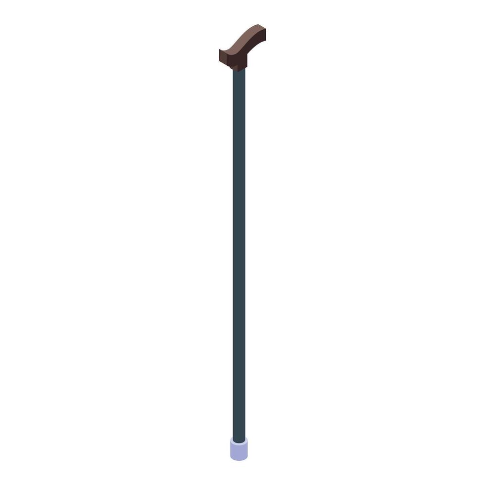 Wooden walking stick standing upright isometric view vector