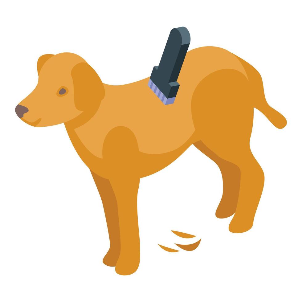 Dog groomer removing shedding fur of a dog with a brush vector