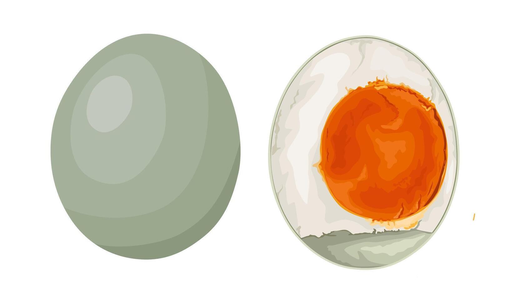 Illustration of salted duck eggs, whole and half, isolated on white background. vector