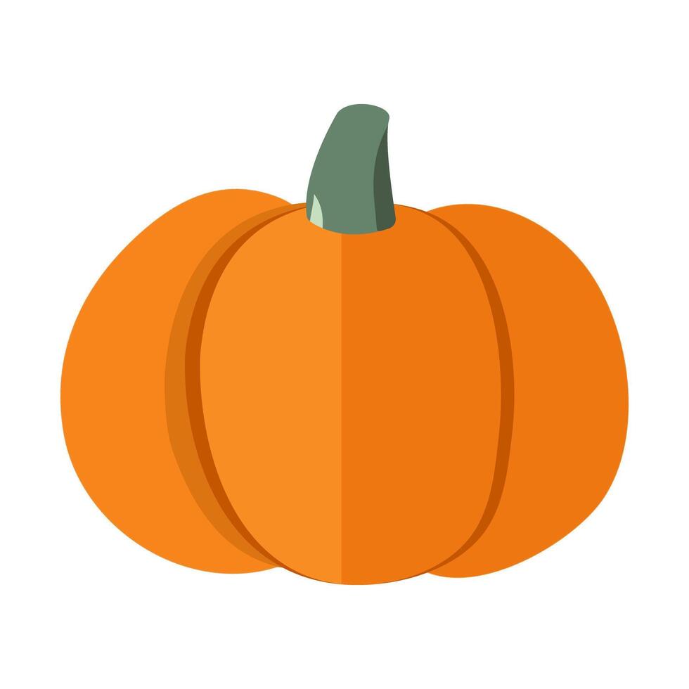 Pumpkin icon isolate on white background. vector