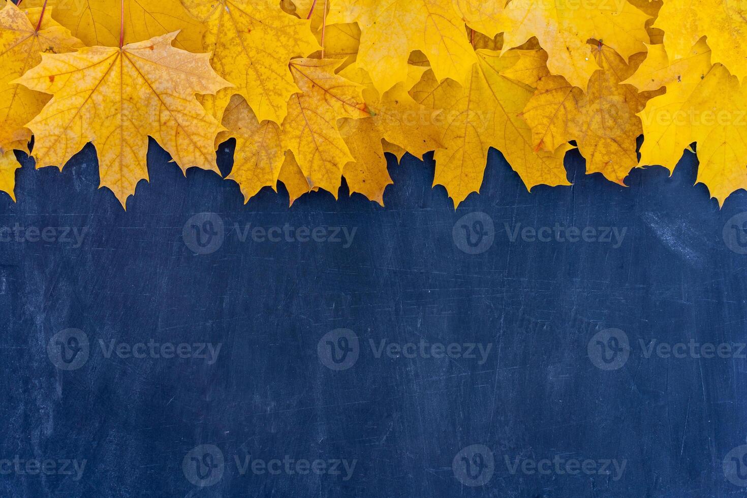 Autumn leaves frame on blue background top view Fall Border yellow and Orange Leaves vintage structure table Copy space for text. photo