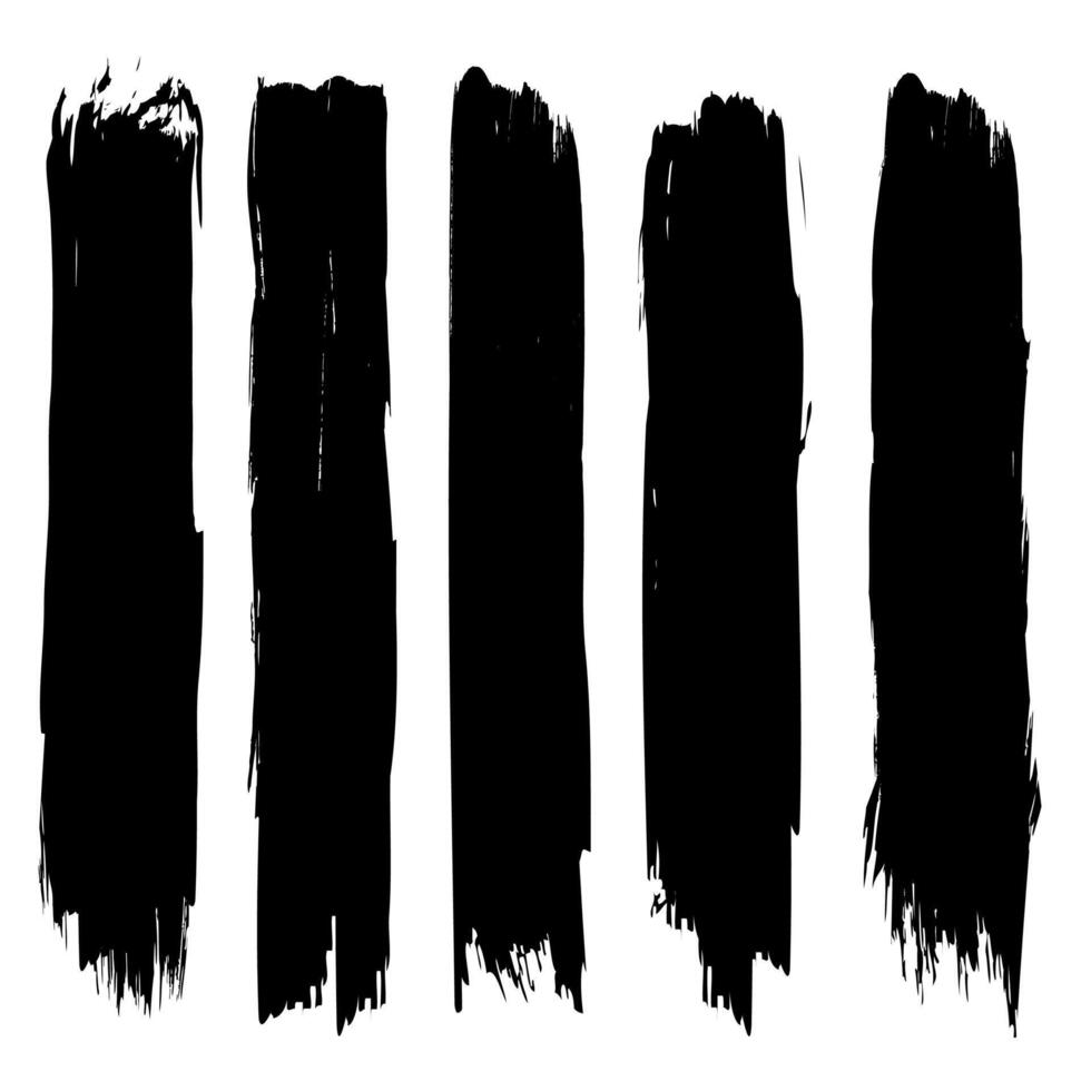 Set of brush stroke on white background vector