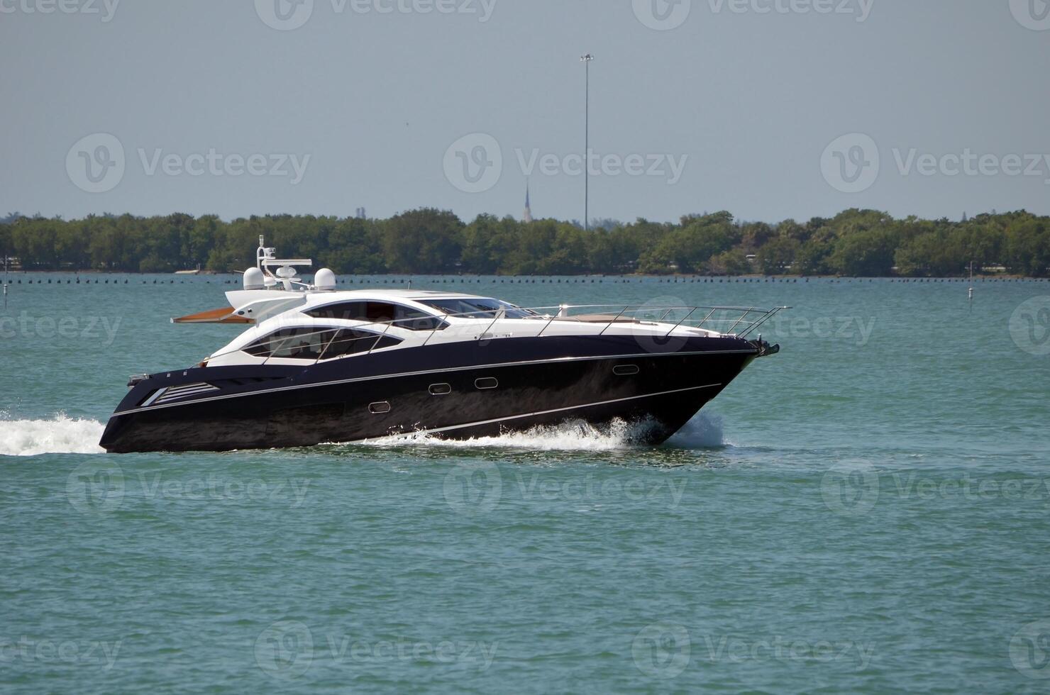 Black and White Motor Yacht photo
