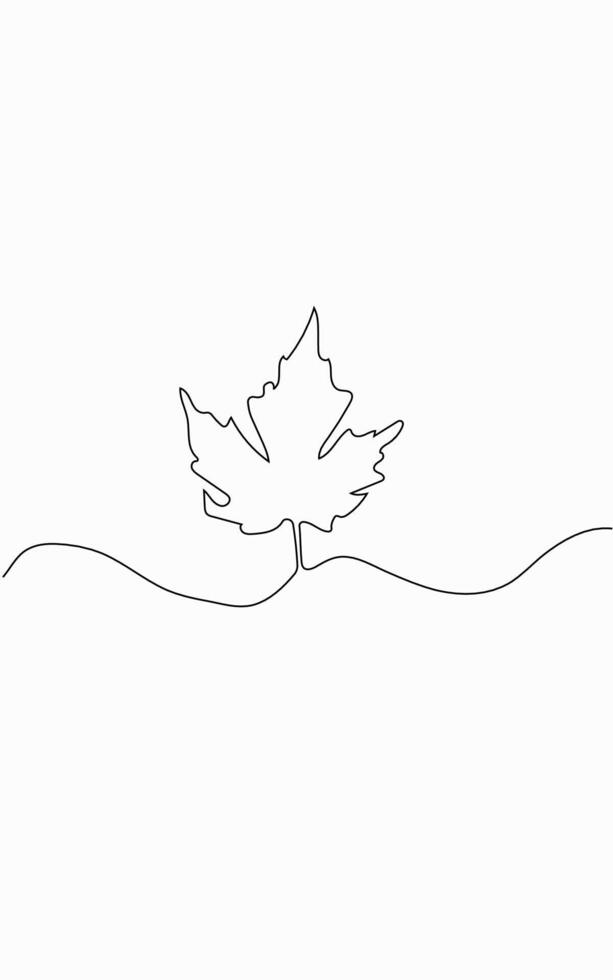 Maple leaf line art isolated on white background vector