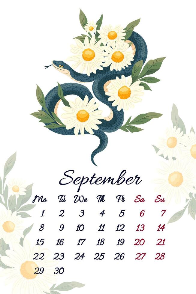 September serpent calendar with autumn bouquet of daisy illustration template for 2025 Year of Snake Layout with flowers composition and symbol of Chinese new year. Typography for print vector